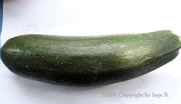 zuchini