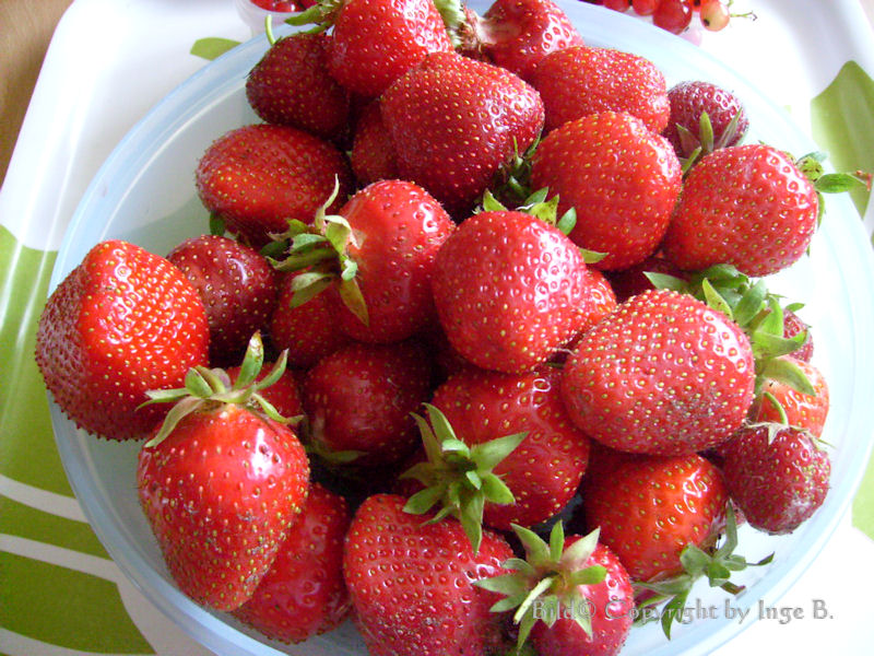 Erdbeeren