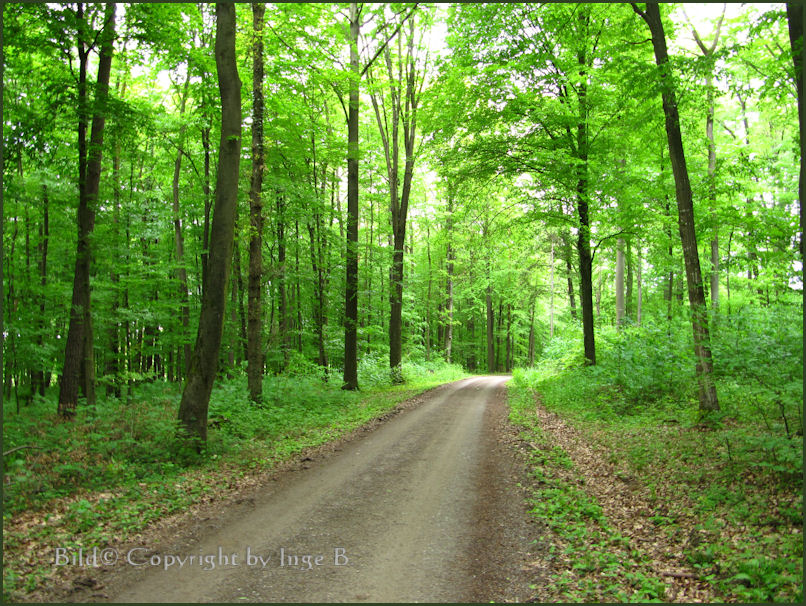 Landschaft